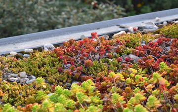 the cost of Ewelme green roof installation