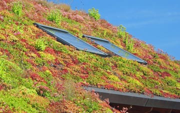 Ewelme living roof systems