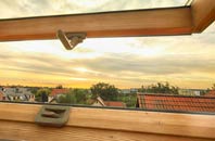 rated Ewelme roof window companies